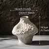 CAPIRON Nordic Ceramic Vase Pampas Grass Dried Flower Home Decoration Accessories Living Room Table Bookcase Porch Decor Bedroom 6
