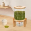 5L Glass Rice Dispenser with Airtight Lid Measuring Cup Wooden Stand Flour Cereal Creative Container for Kitchen Organization 1