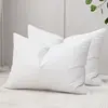 Luxury Goose Feather Pillow, Contains 50% Goose Feather, Soft, Fluffy and Breathable, Skin-friendly , Good Support, All Seasons 2