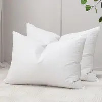 Luxury Goose Feather Pillow, Contains 50% Goose Feather, Soft, Fluffy and Breathable, Skin-friendly , Good Support, All Seasons 2