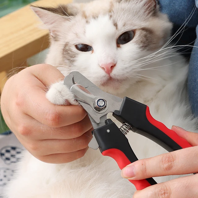 Professional Pet Nail Clipper Stainless Steel Dog Cat Nail Clippers Multifunctional Teddy Cat Stainless Steel Grooming Scissors 5