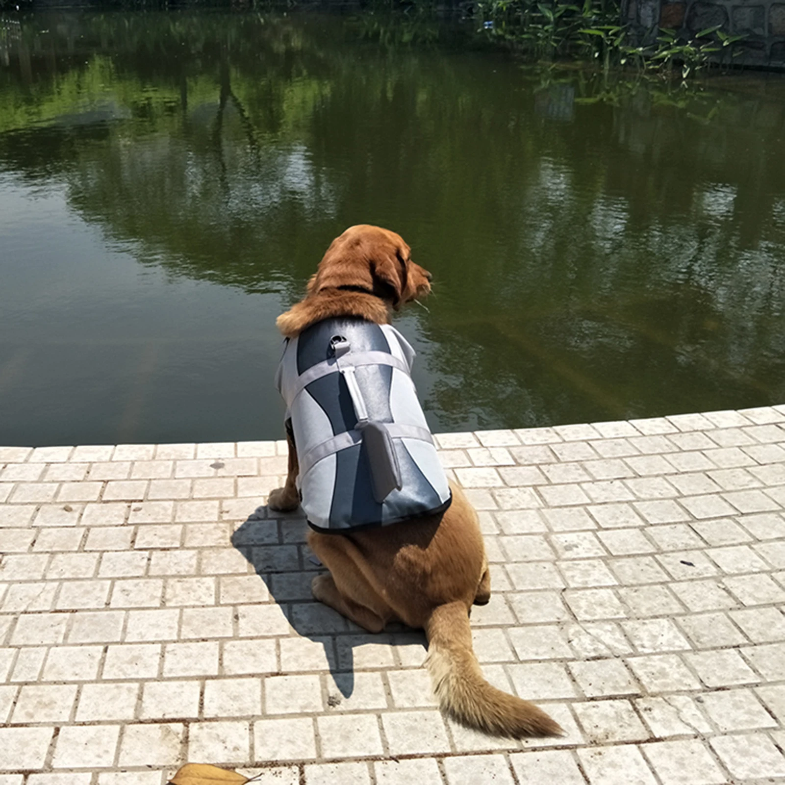 Dog Life Jacket Pet Shark Swimsuit Vest Pet Safety Wear Dog Swimsuit Preserver for Water Safety Device At The Pool, Beach, Boati