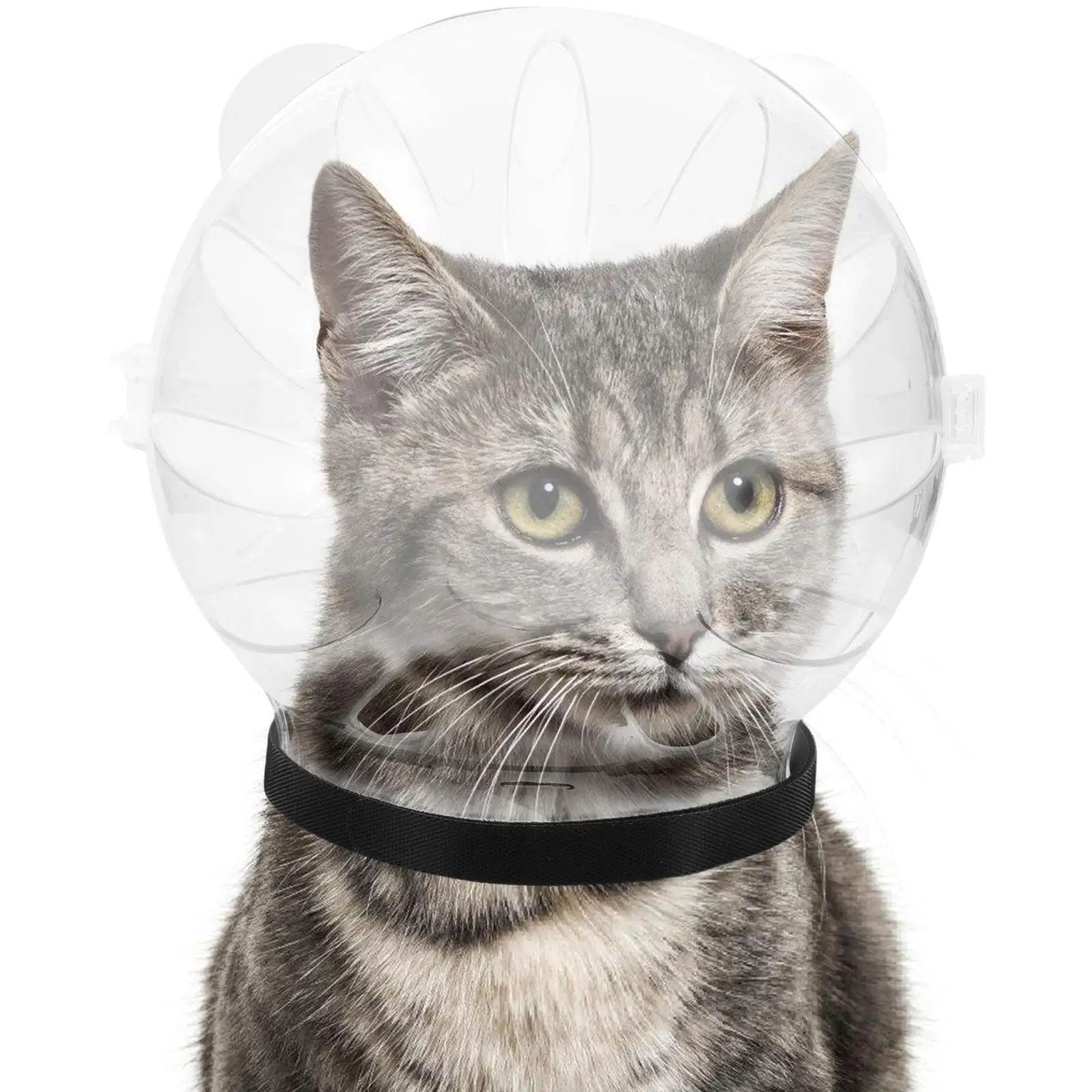 Cat Hood Hairdressing for Grooming Mask Durable Recovery Dog after Surgery Abs Kitten Breathable Bathing