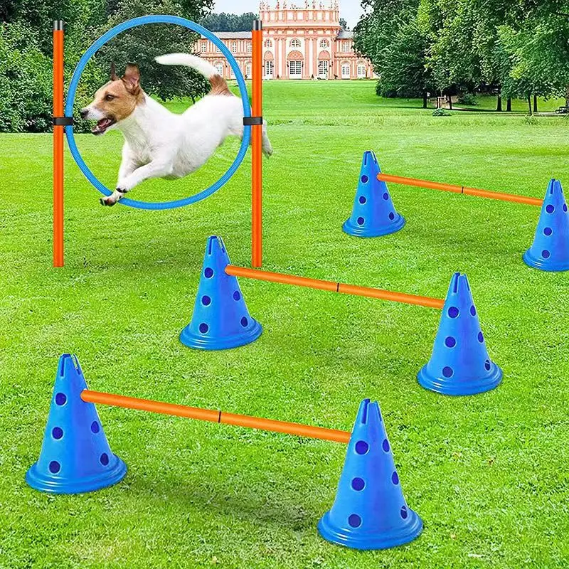 Pet Agility Training Set Jumping Bar Dog Obstacle Training Equipment ...