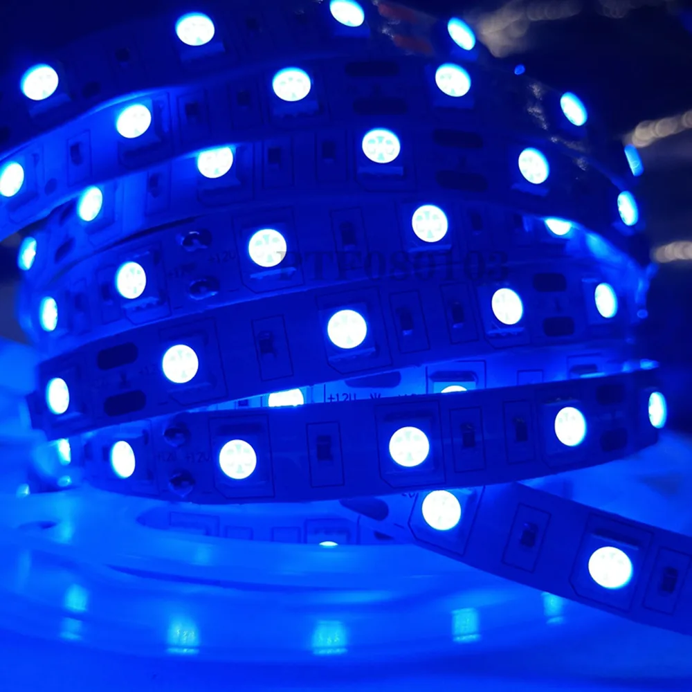 LED 스트립 5050 DC 12V 24V RGB 따뜻한 흰색 5 미터 방수 유연한 빛 스트라이프 60LED/MLed 테이프 Luces 램프 리본 Tv 백라이트