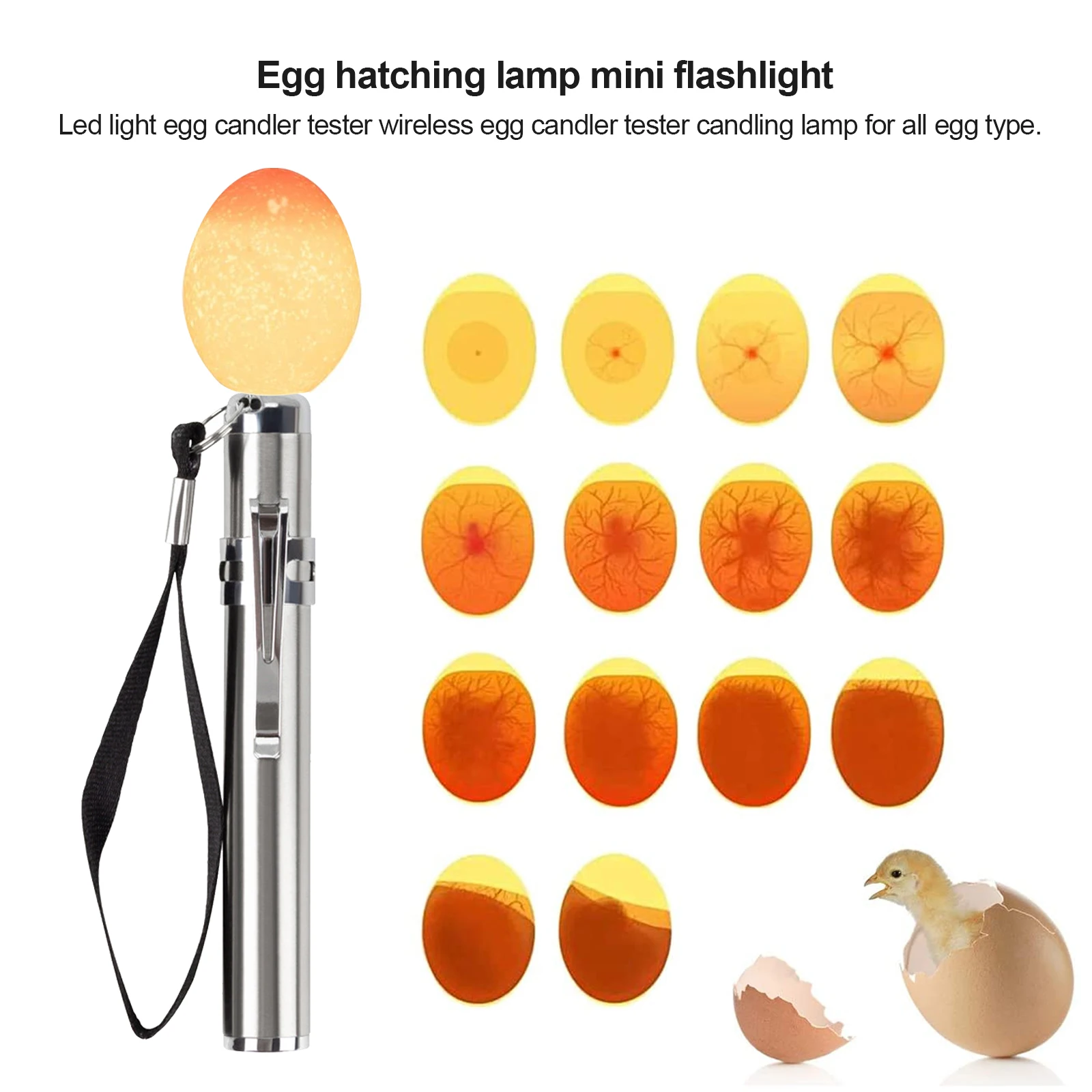 Egg Candler Tester Rechargeable Wireless Cool Light Incubator Candling Lamp  With Two Soft Head Fit For All Eggs Type - Feeding & Watering Supplies -  AliExpress