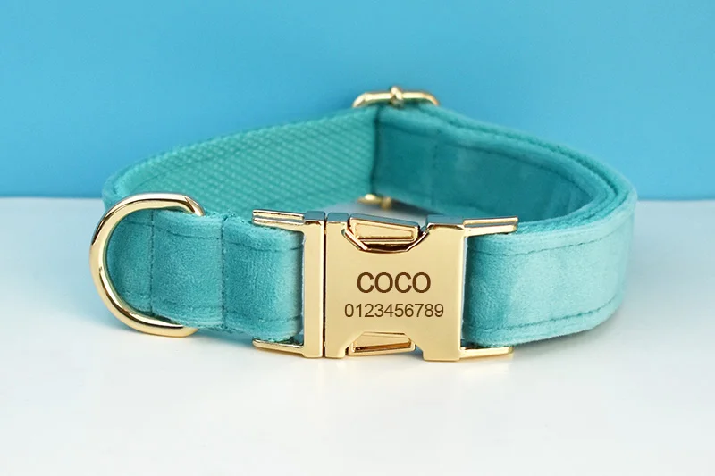 Conjunto de collar y correa de terciopelo turquesa con placa grabada_voghion.com
