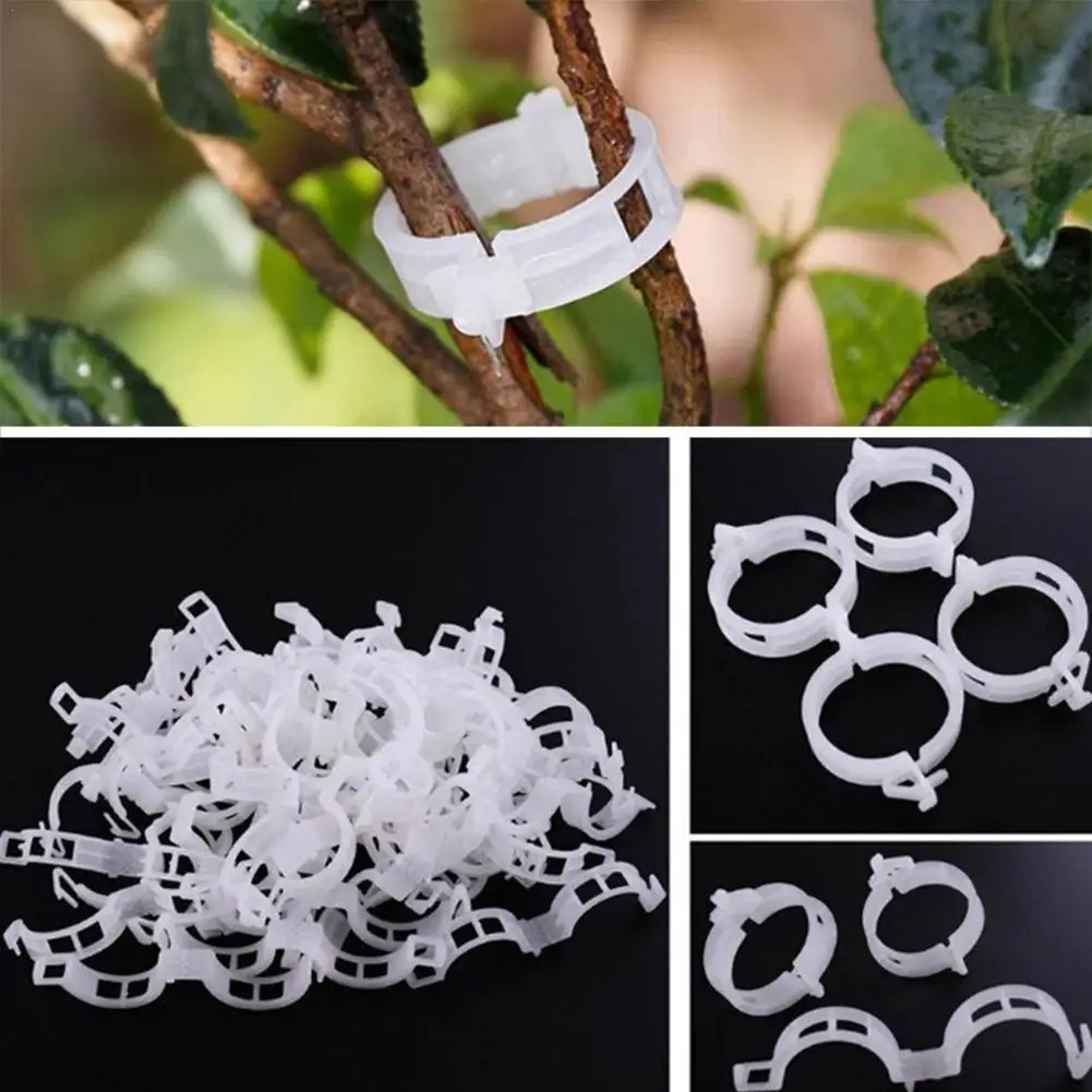 

300/100/50Pcs Plastic Plant Support Clips Reusable Plant Vine Protection Grafting Fixing Tool For Vegetable Tomato