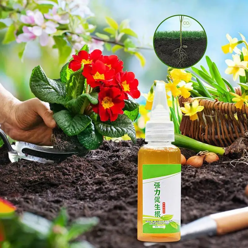 Рисунок 2 - Добавка для улучшения роста растений