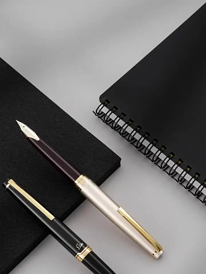 Japan PILOT Fountain Pen 14K Gold Nib 95s Elite 95th Anniversary