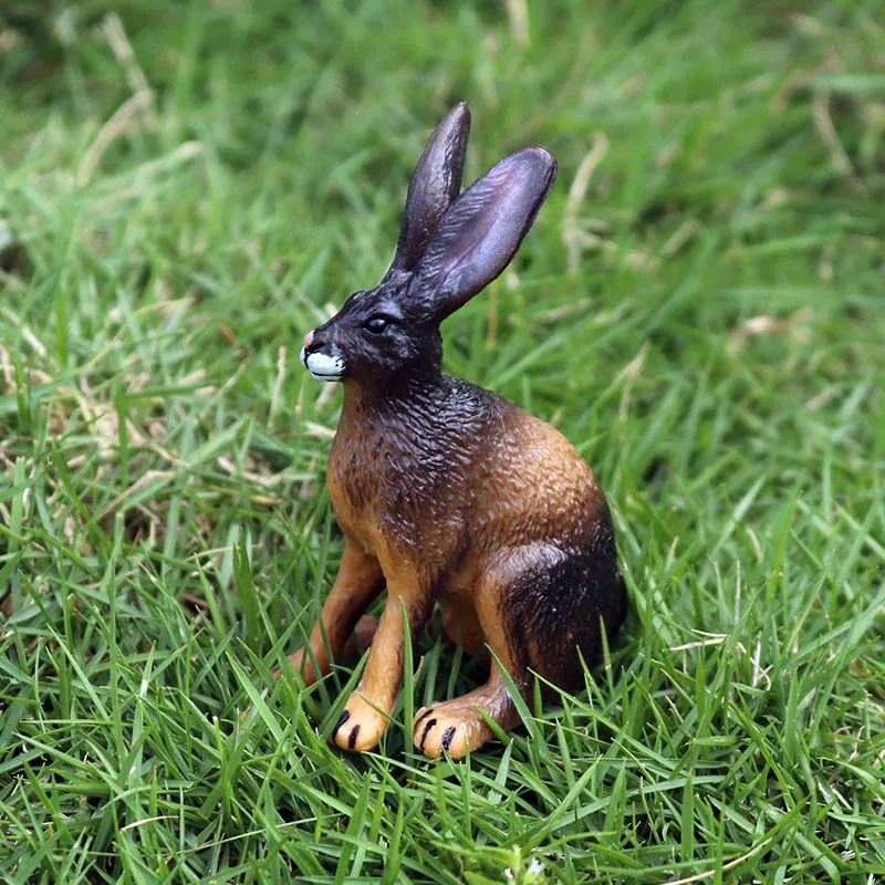 Simulation Wild Animal Malayan Tapir Hedgehog Waterbuck Cassowary Ruffed Lemur Reindeer Action Figures Poultry Rabbit Donkey Toy