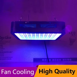 High Power UV Ink Gel Curing Lamp For Screen Printing Screen Film Template Production 365nm-405nm Ultraviolet Exposure Lamp