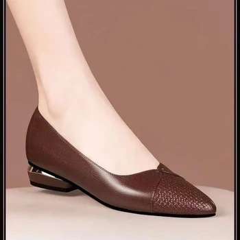 Elegant Party Commuting Spring and Autumn Low Heels, Shallow Embossed Pointed Toe Slip-On Low Heel Women's Shoes 1