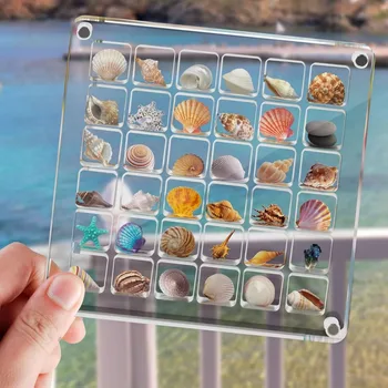 Grids Seashell Display Box Acrylic Magnetic Seashell Display Case Organizer Box Stackable Small Craft Compartment Boxd Bins 1