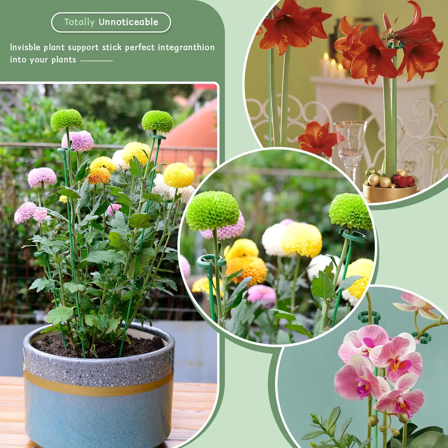 Plant Supports Stand Butterflies Orchid Flower Potted Rods 5/10PCS