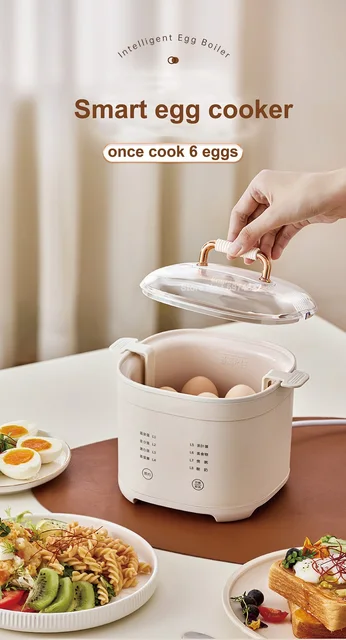 Everyday Plastic Electric 6 Egg Boiler Cooker With Built In Timer, Black -  AliExpress