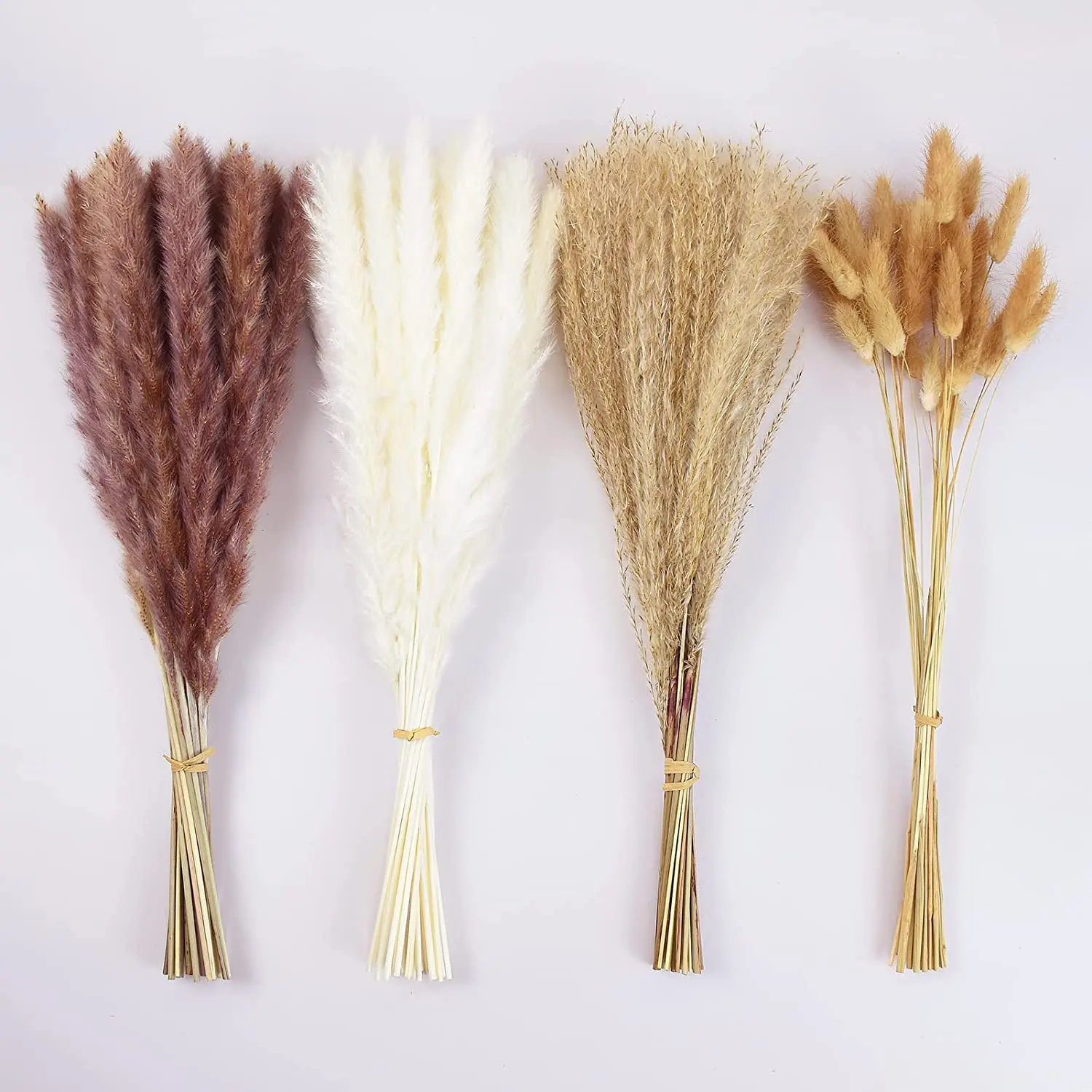 

50/100pcs Pampas Grass for Boho Chic Home Decor and Naturally Dried Flower Bouquet Bunny Tails Reed Grass Phragmites Dekoration
