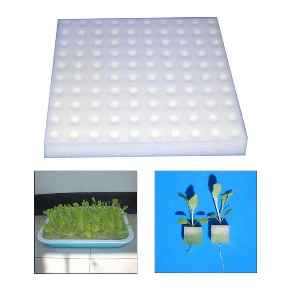 White Rooting Sponge Hydroponics Block Clonazione Collare Stone Aquaponics Aeratore Net Anti-Alga Pot Air Bubble Sponge Air Ston L6K3