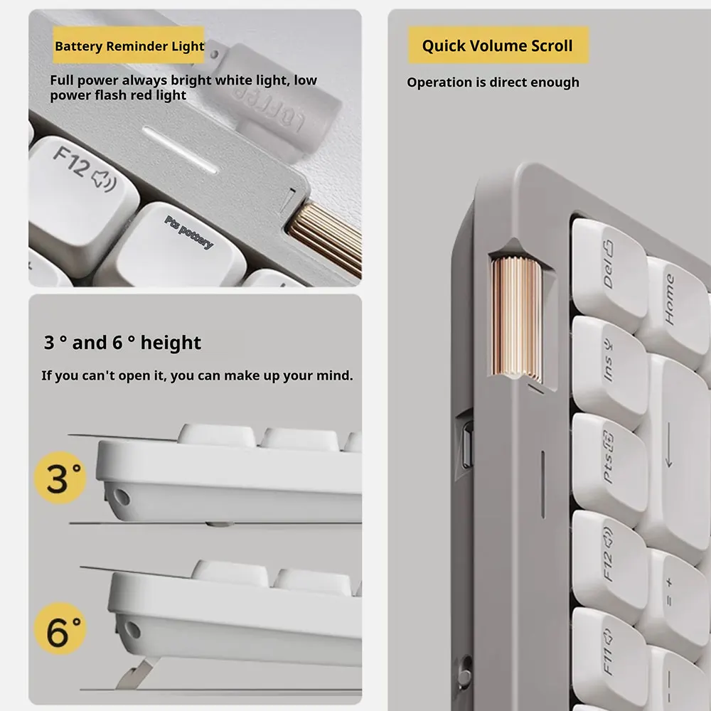 dsc-products