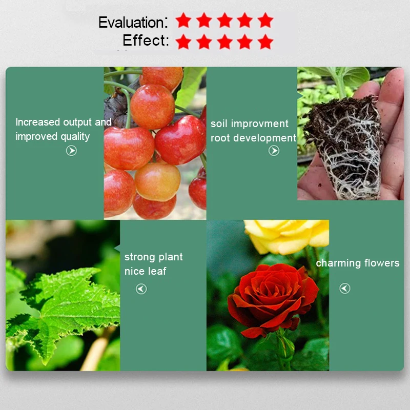 Fertilizer 20g NPK Compond Fertilizer All Purpose Plant Food Safe Feed Vegetable Garden Pot Planting Flower