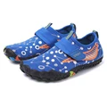 H-2 Sapp blue