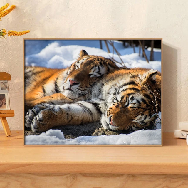 Tiger Diamond Painting, Diamond Painting Cats, Diamond Embroidery