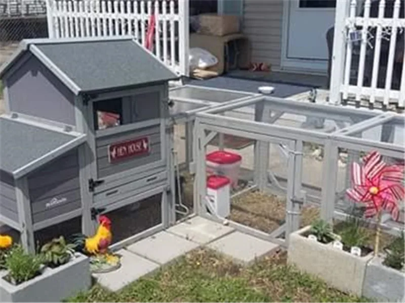 chicken coop for 4 chickens