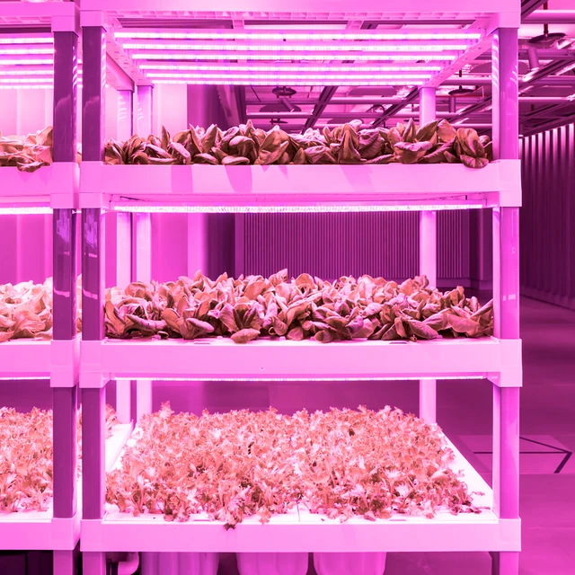 Üvegházhatású Növény Led Lámpa Teljes Spektrum Termesztési Napenergia Termesztése Magas Fényvirággal És Kiváló Hővel - Image 5
