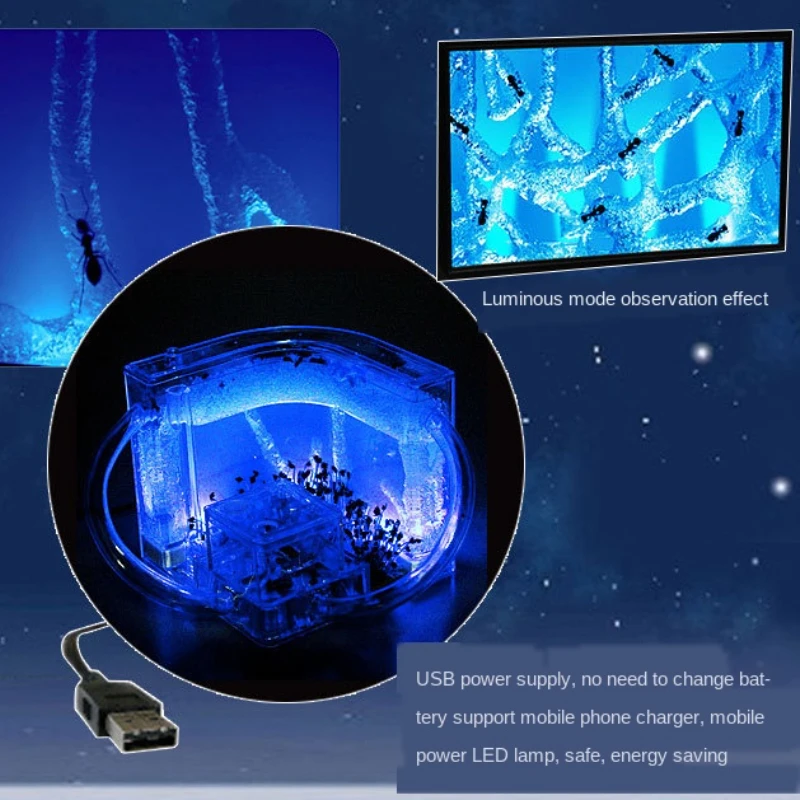 DIY Luminous Small pet living Boxes ant house Ant Workshop Ant Villa Workshop Home Castle Ant Farm Underground ChildrenToys