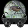 Theater Telescopes Presbyopic Function High-Clarity Observing Glass Type Binoculars Telescopes   Binoculars  Outdoor Supply 5