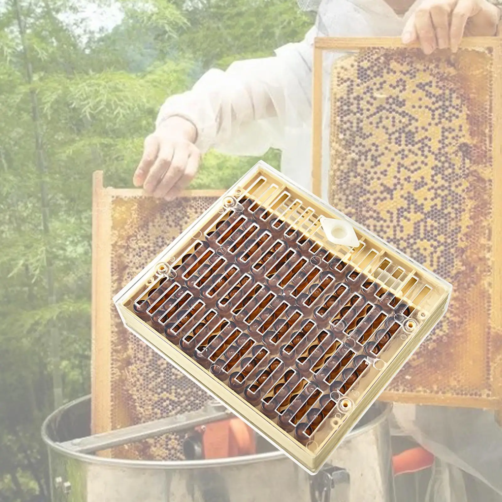 Beekeeping Rearing Box Apiculture Breeding Box Safe Beekeeping Queen Bee Rearing Grafting Set Beehive Bee for Beekeepers