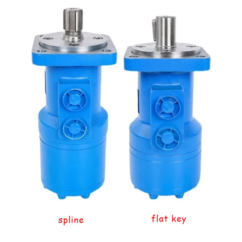 BM1 Hydraulic Motor 50/80/100/125/160/200/250/315/400/500 Cycloidal Hydraulic Motor 5