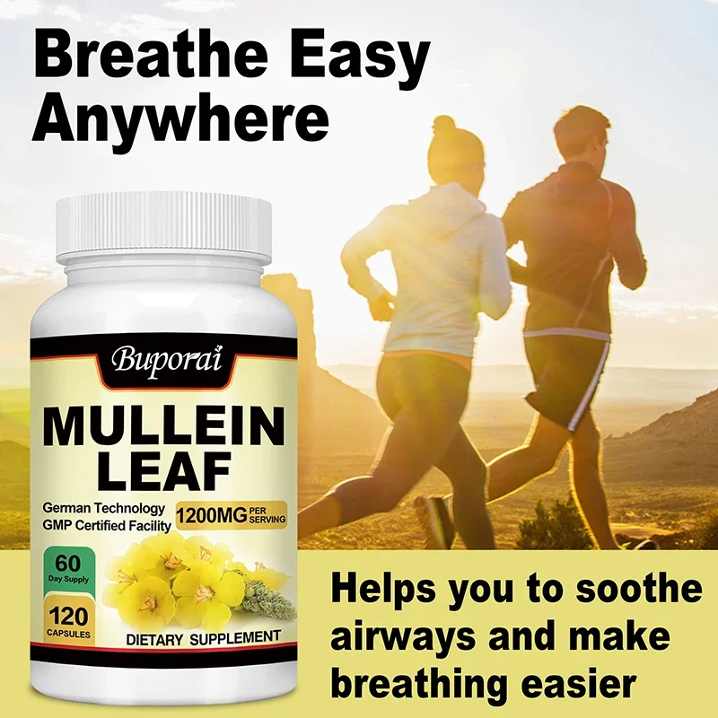 Mullein Leaf-Clean The Lung Protecting The Respiratory System Relieve Phlegm and Cough Immune Support mullein leaf extract