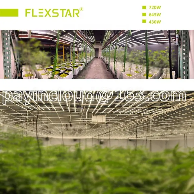 Flexstar 삼성 공식 파트너 LED 성장 조명