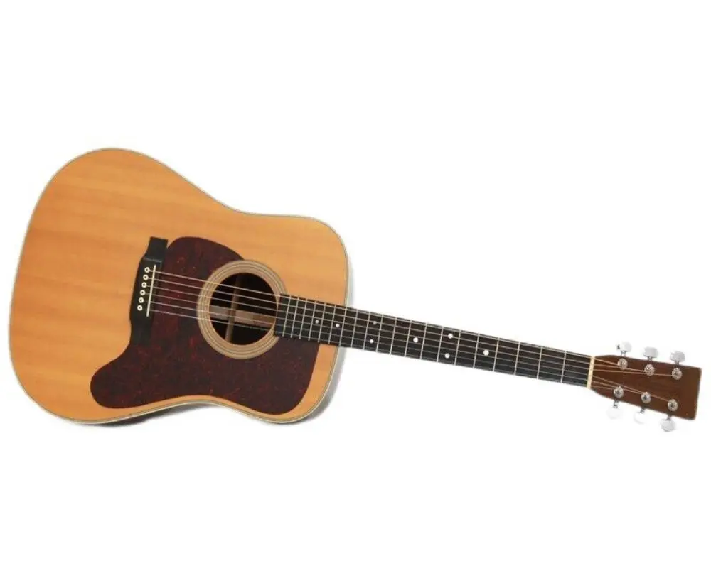 

Стандартная натуральная Акустическая гитара 2010