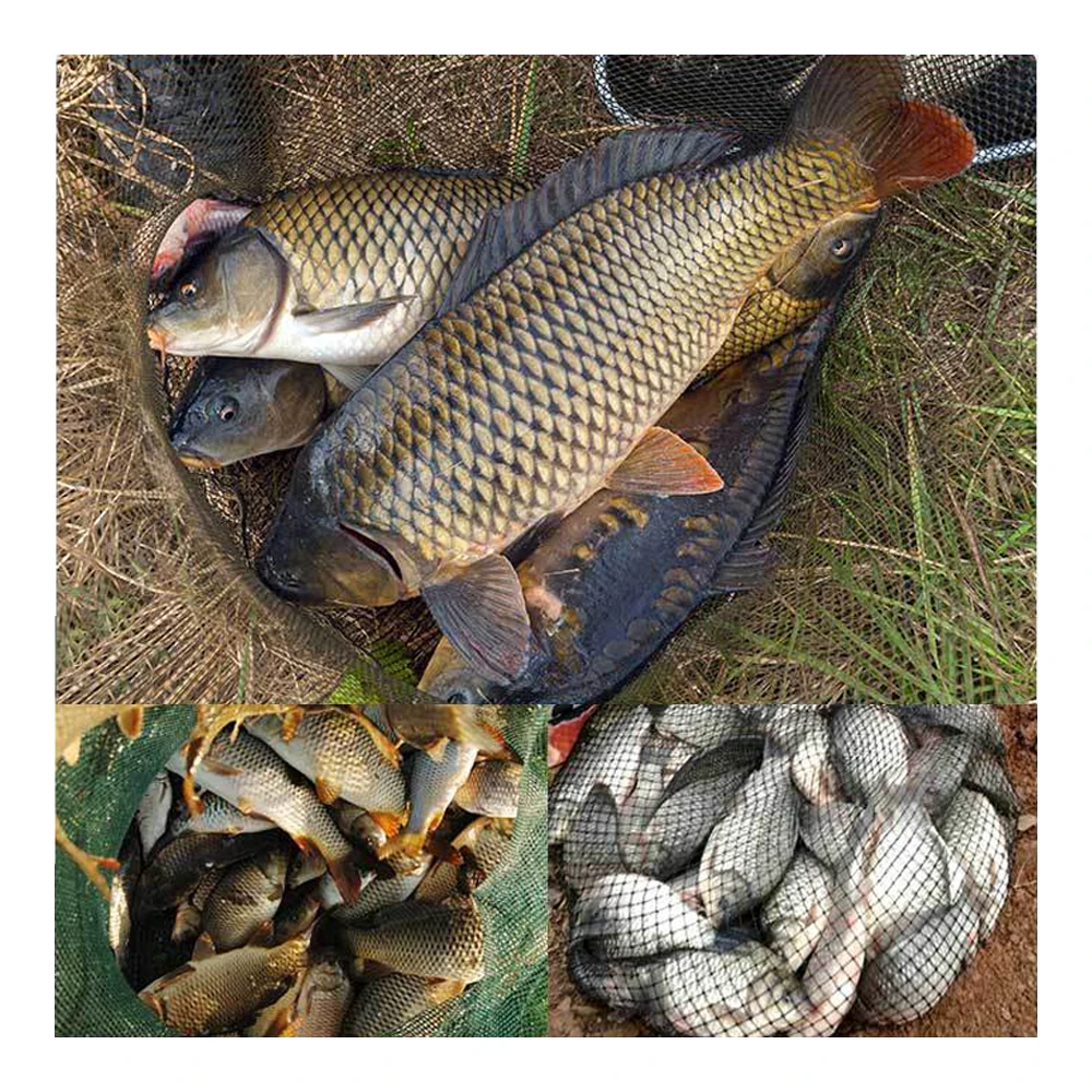 60ml/bottle amino acid bait additive for crucian carp carp grass bream tilapia fishing attractant