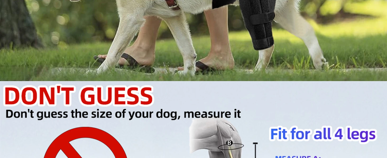 dog knee brace