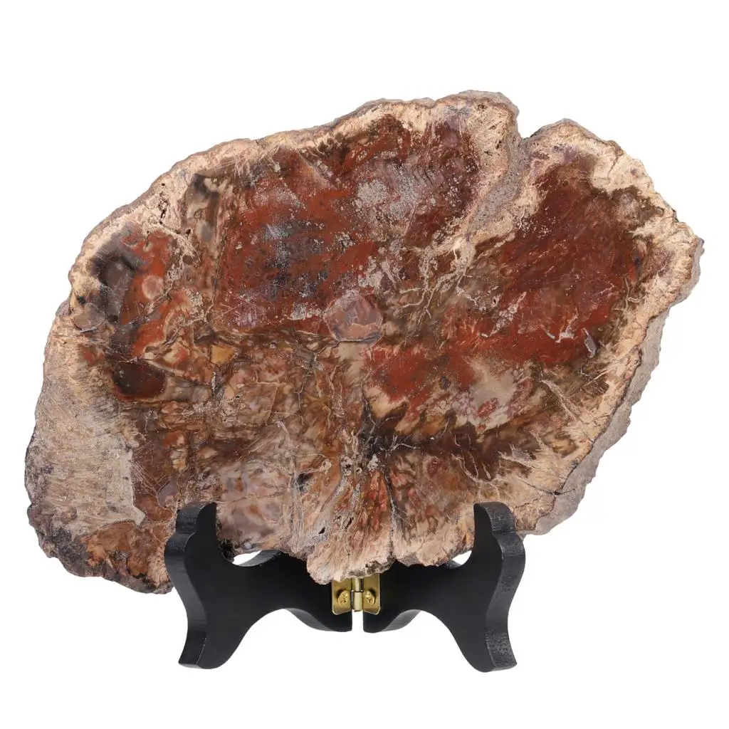 TUMBEELLUWA Natural Petrified Wood Stone With Wooden Stand Reiki Healing Stone Slab Specimen Random Shape For Room Decor