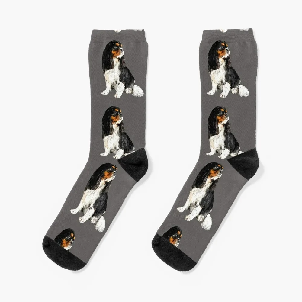 Cavalier King Charles Spaniel Tri Elegance Socks cool compression anti-slip Men Socks Luxury Brand Women's rug washable φ120 cm multicolour anti slip