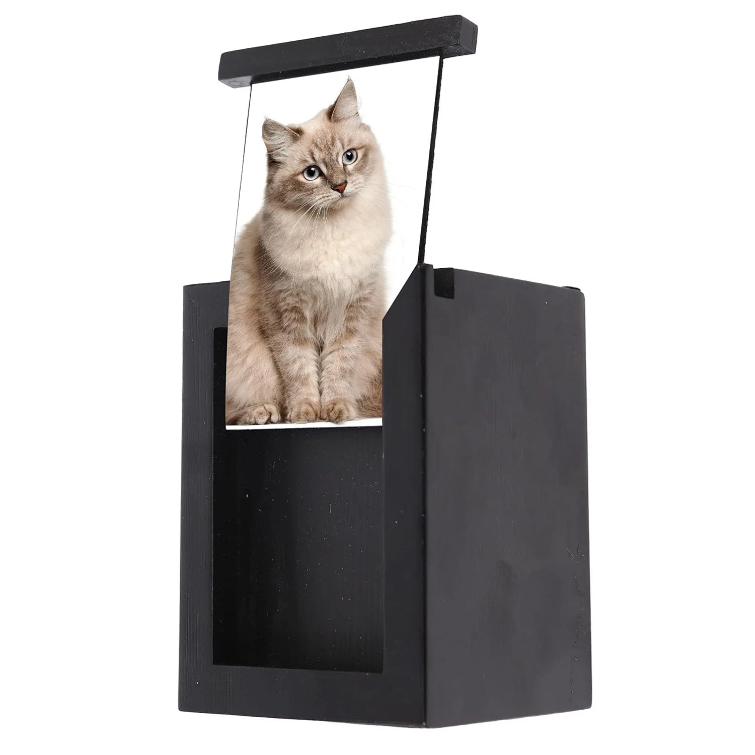 Factory Cat Urn for Ashes Pet Urns Pet Cremation Urn Wood Keepsake Memorial Urns for pet