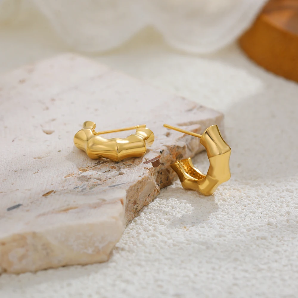 18K Gold Plated Round Bamboo Earrings Hooks Designer Style Circle Huggie Hoop Earring Stainless Steel Vintage Jewelry Party Gift