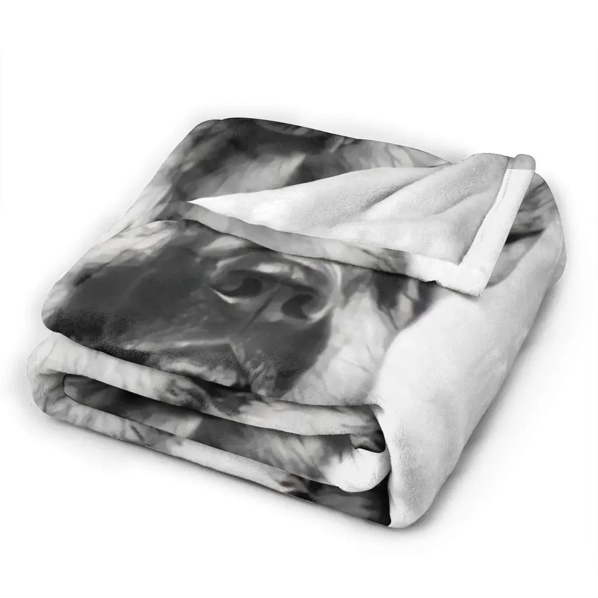 ���� ���۵� �� �ö��� ������ ħ�� ���, �ƴ��� �淮 �ε巯�� ħ�뺸 ħ��, ���� ���� ħ�� Ȩ ����