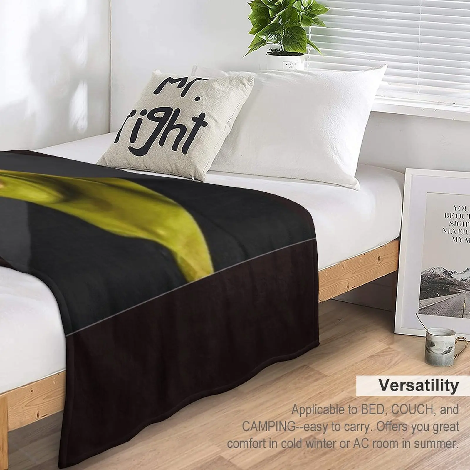 Dwayne & x27, The Shrok ���� Ŭ���� Ƽ���� ������ ���, �Ϳ��� ķ�� ���, �ڽ����� �ִϸ��̼�