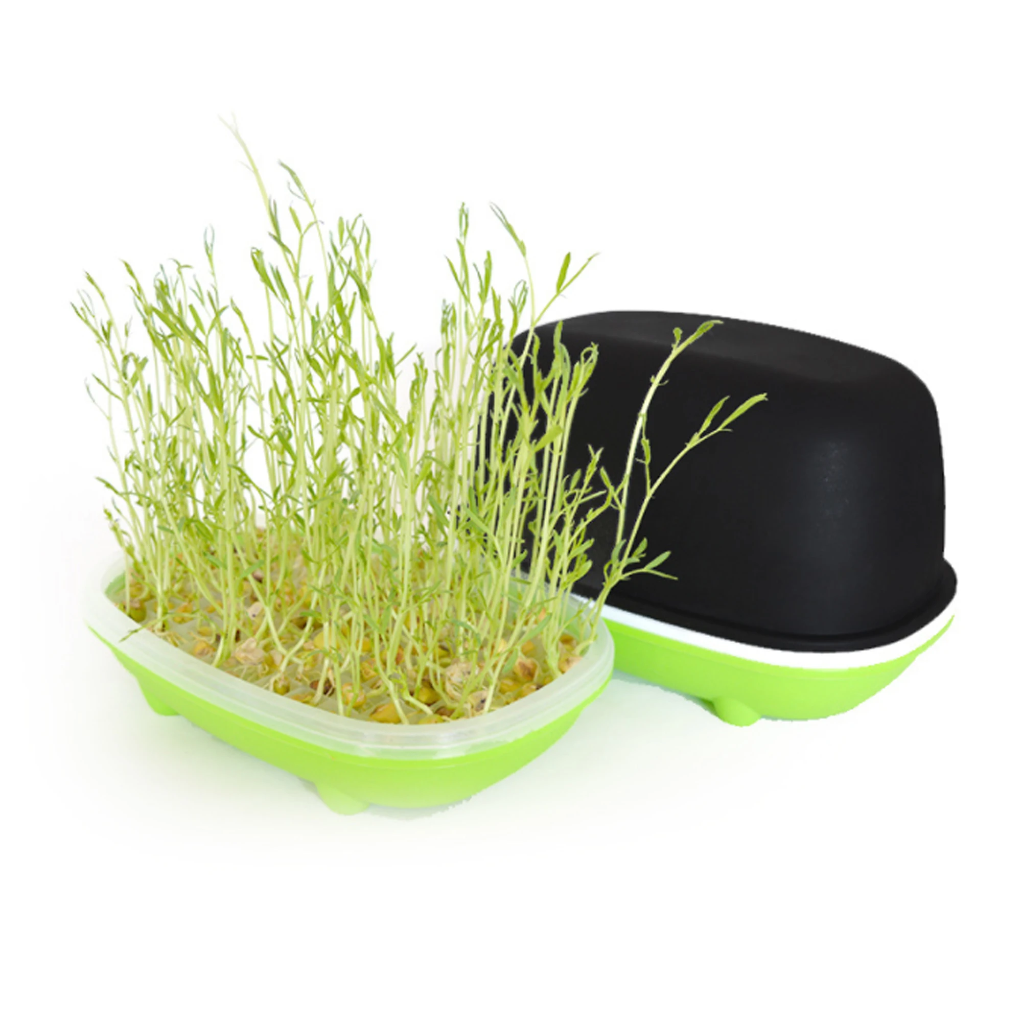 Garden Grow Soilless Hydroponic Seedling Kit