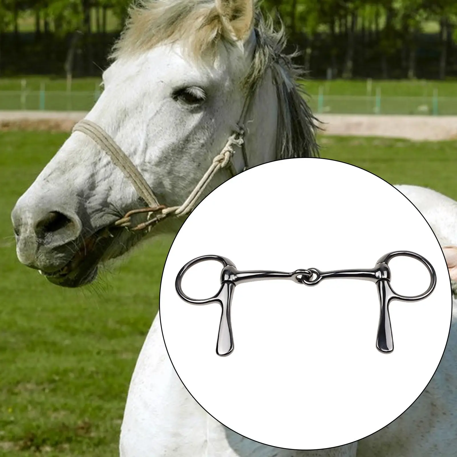 Horse Bit Mouth Snaffle Bit Supplies Gift Equestrian Accessories Metal Horse