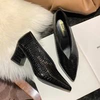 Vintage black Soft Leather Shallow Pointed Toe Thick Heel Women's Flats 2024 New Spring Summer High Heel Versatile High Shoes - Image 2