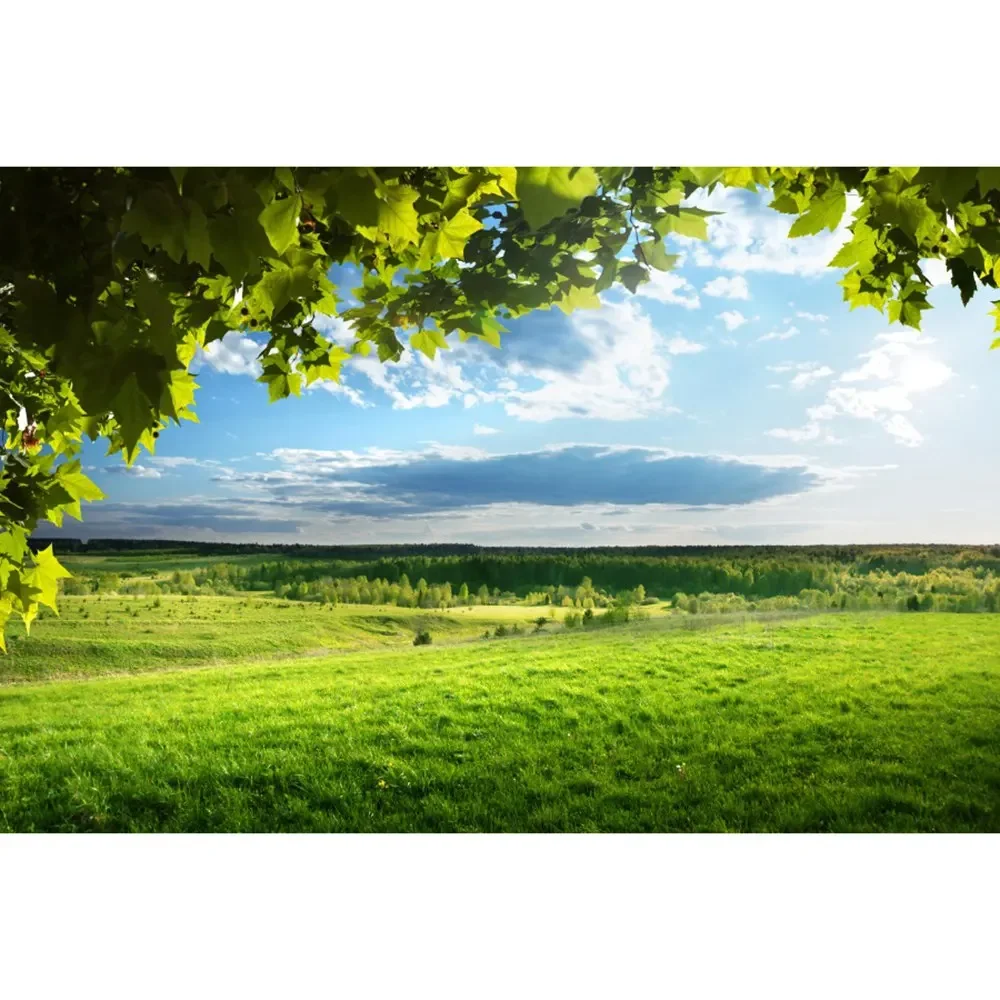 thumbnail image 1 of MOON.QG Fondo de fotografía de campo de granja de primavera, paisaje de pastizales con girasoles, fondo para sesión fotográfica de fiesta, decoración personalizada, accesorios para fotos, 1 of 5
