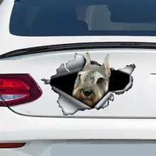 

Grey Schnauzer car decal , Grey Schnauzer magnet, Schnauzer sticker
