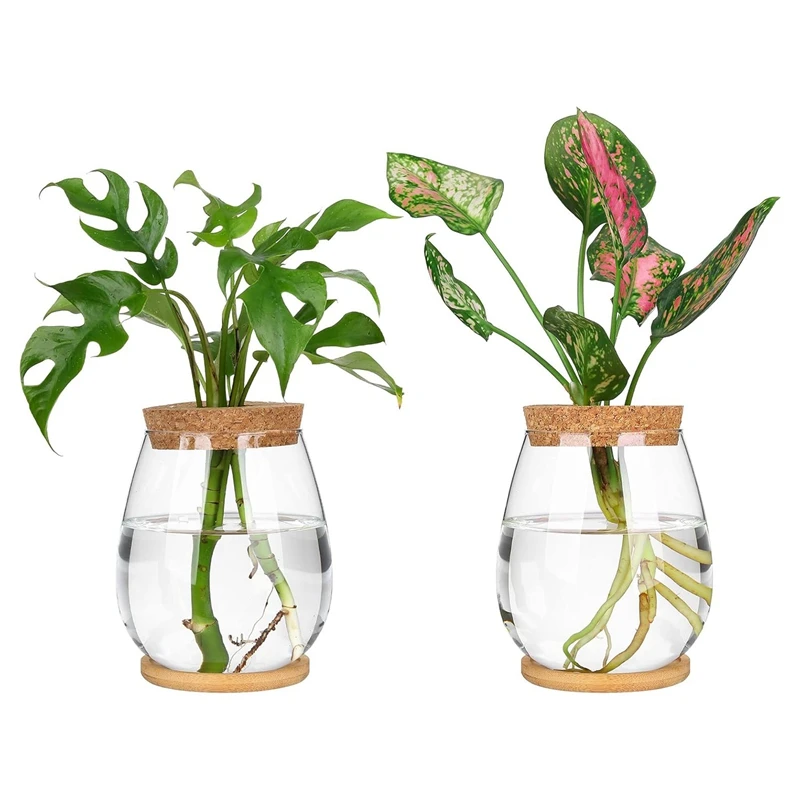 

2 Pcs Plants Propagation Stations Kit With Wooden Tray & Lid For Propagating Hydroponic