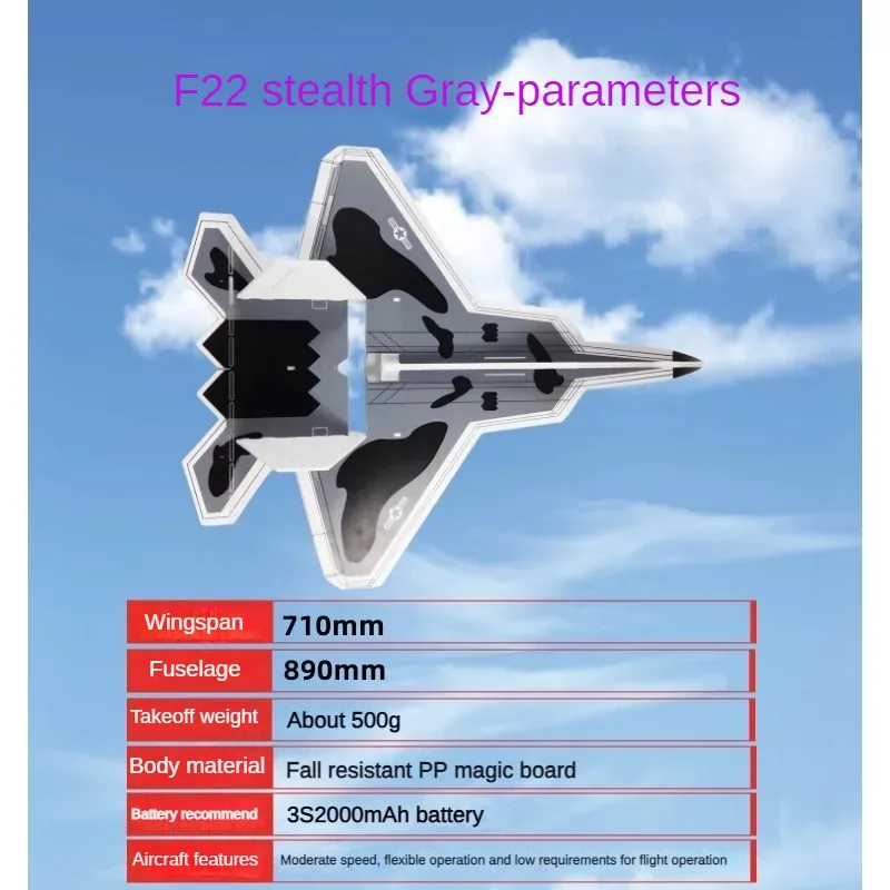 RC Airplane Combo Set - F22 with PP Board and SU27 Fixed-wing Fighter Jet toys 3